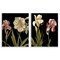 Stupell Industries Blooming Purple Iris White Lily 2 pc Framed Giclee Wall Art Set Design by Samantha Carter